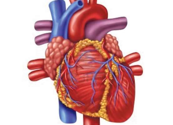 Causas da insuficiência cardíaca