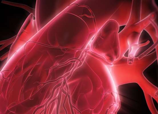 O que é uma morte súbita?