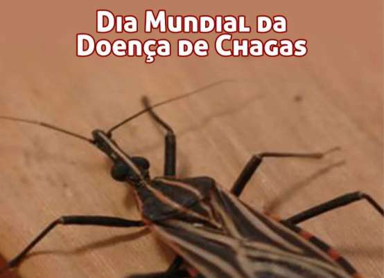 Dia Mundial da Doença de Chagas